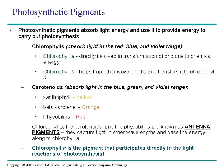 Photosynthetic Pigments • Photosynthetic pigments absorb light energy and use it to provide energy