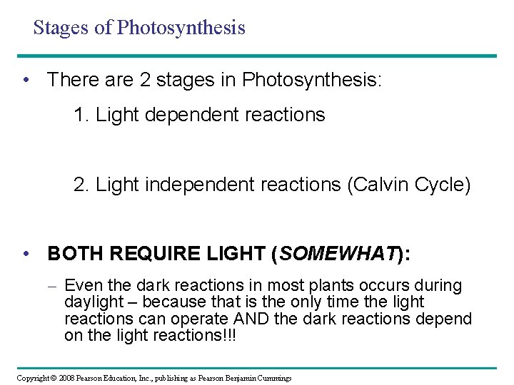 Stages of Photosynthesis • There are 2 stages in Photosynthesis: 1. Light dependent reactions