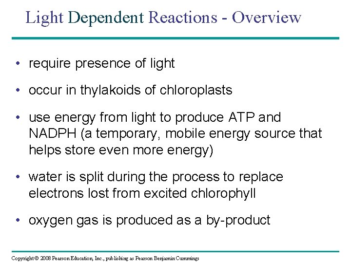 Light Dependent Reactions - Overview • require presence of light • occur in thylakoids