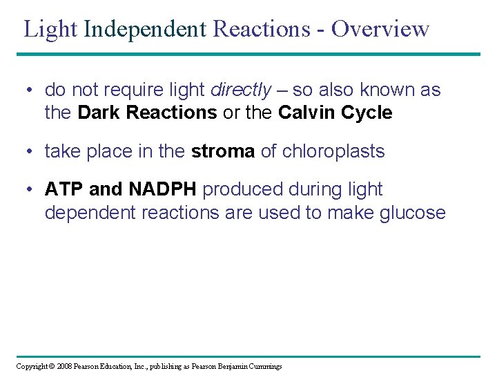 Light Independent Reactions - Overview • do not require light directly – so also