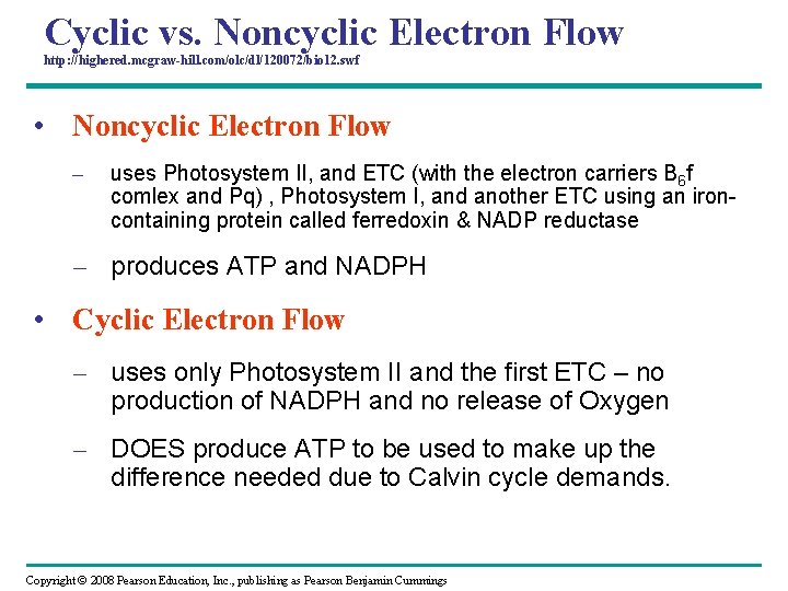 Cyclic vs. Noncyclic Electron Flow http: //highered. mcgraw-hill. com/olc/dl/120072/bio 12. swf • Noncyclic Electron