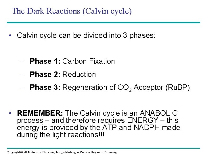 The Dark Reactions (Calvin cycle) • Calvin cycle can be divided into 3 phases: