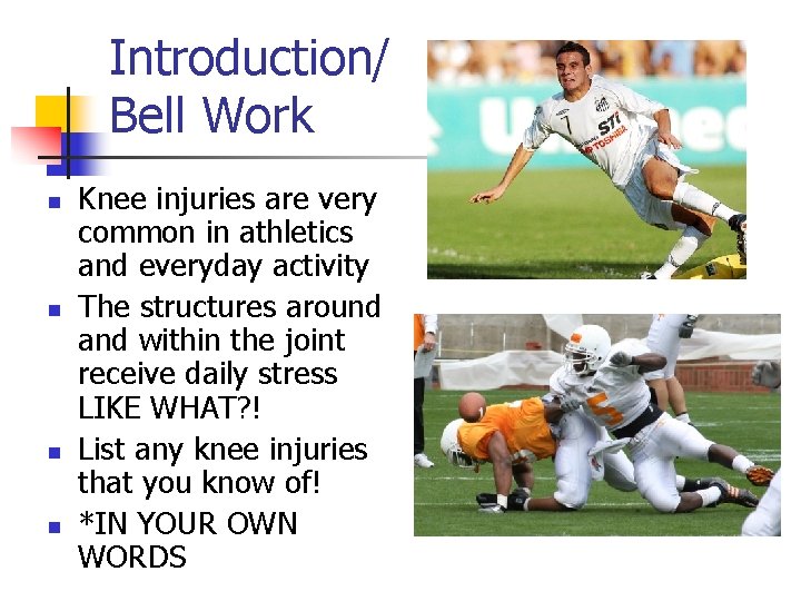Introduction/ Bell Work n n Knee injuries are very common in athletics and everyday