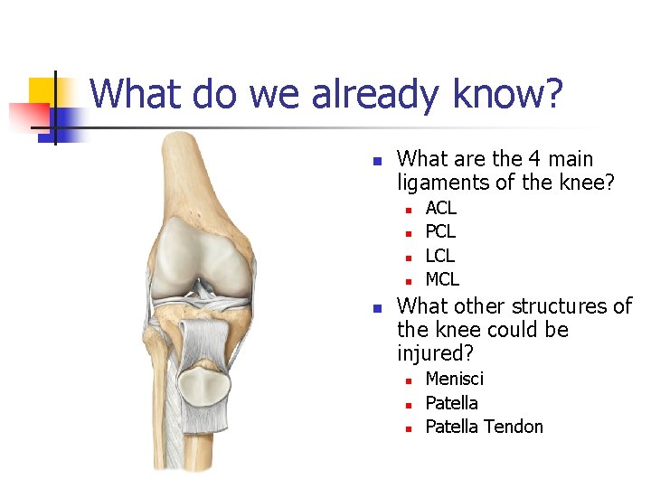 What do we already know? n What are the 4 main ligaments of the