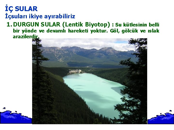 İÇ SULAR İçsuları ikiye ayırabiliriz 1. DURGUN SULAR (Lentik Biyotop) : Su kütlesinin belli