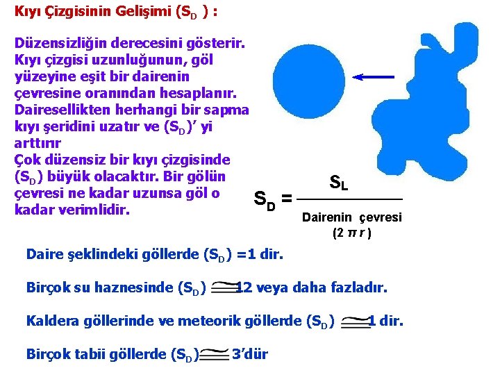 Kıyı Çizgisinin Gelişimi (SD ) : Düzensizliğin derecesini gösterir. Kıyı çizgisi uzunluğunun, göl yüzeyine