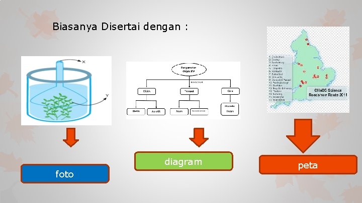 Biasanya Disertai dengan : diagram foto peta 