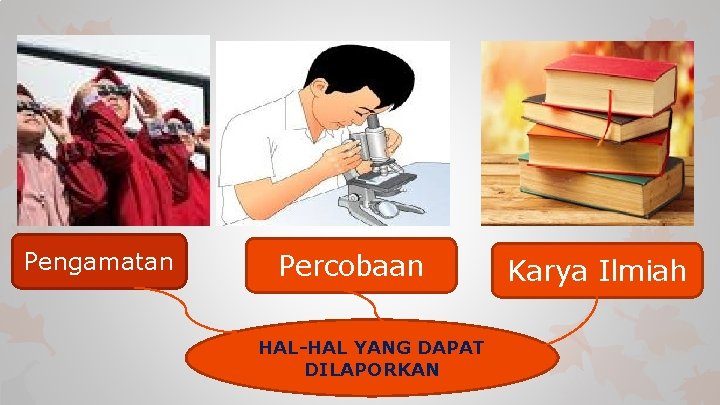 Pengamatan Percobaan HAL-HAL YANG DAPAT DILAPORKAN Karya Ilmiah 