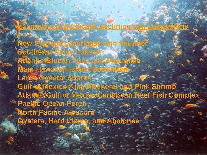 Examples of drastically declining fish populations New England groundfish and flounder Southeast Spiny Lobster