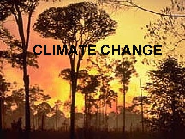 CLIMATE CHANGE 