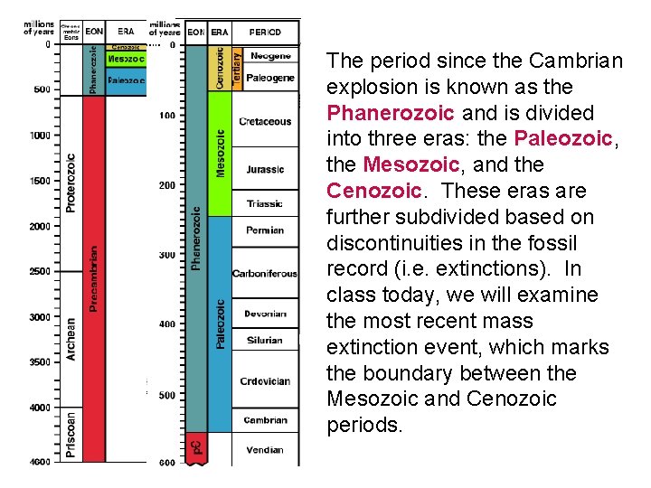 The period since the Cambrian explosion is known as the Phanerozoic and is divided