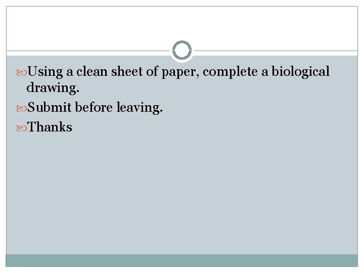  Using a clean sheet of paper, complete a biological drawing. Submit before leaving.