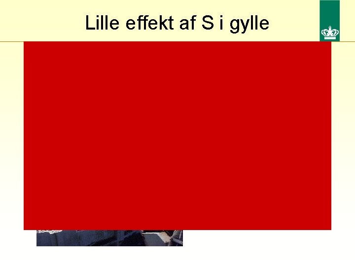 Lille effekt af S i gylle Lille første-års-effekt (men eftervirkning) Forklaring: • lavt sulfatindhold