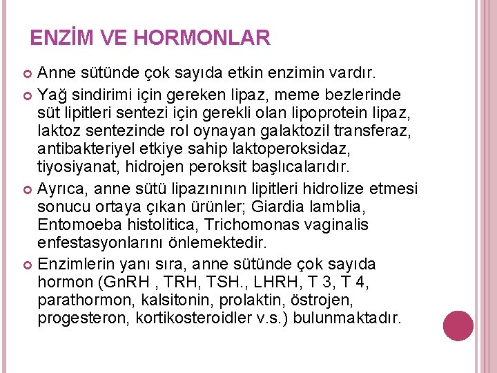 ENZİM VE HORMONLAR Anne sütünde çok sayıda etkin enzimin vardır. Yağ sindirimi için gereken