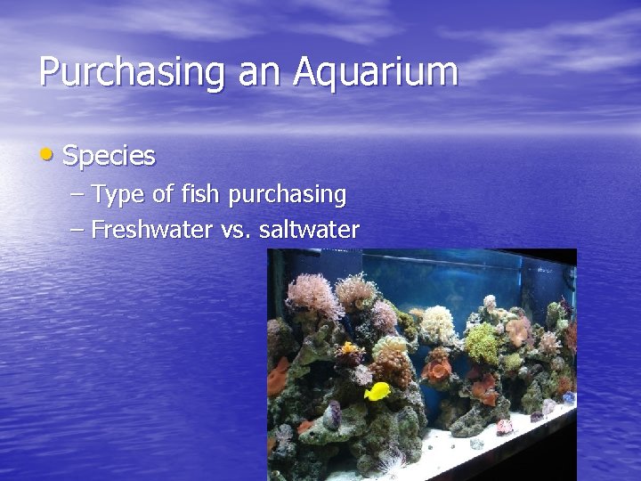 Purchasing an Aquarium • Species – Type of fish purchasing – Freshwater vs. saltwater