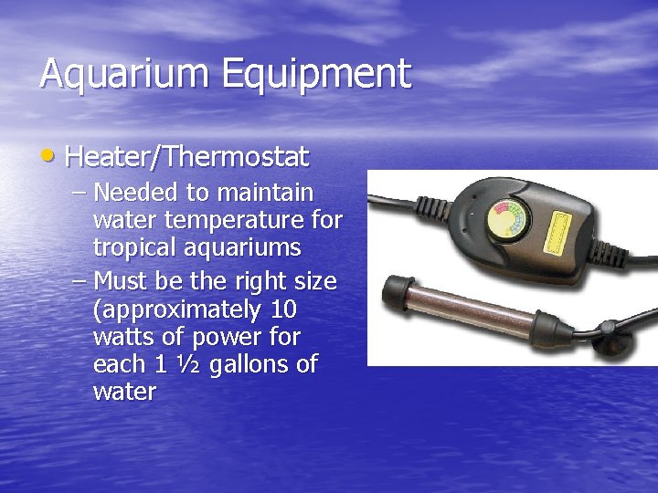 Aquarium Equipment • Heater/Thermostat – Needed to maintain water temperature for tropical aquariums –