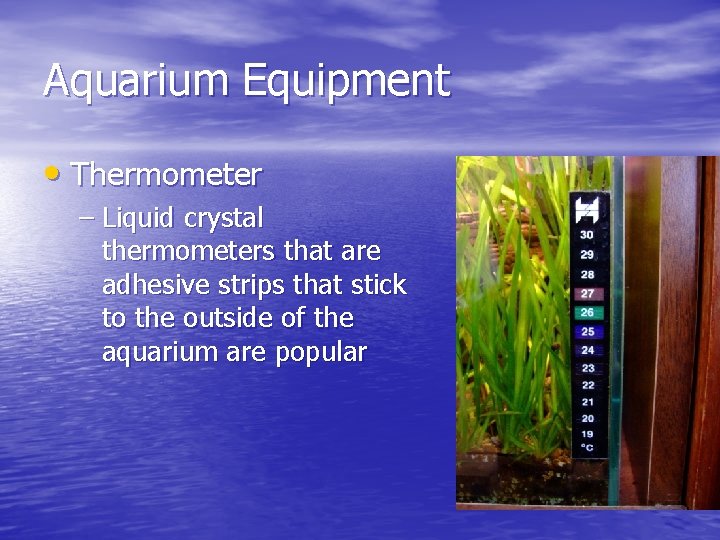 Aquarium Equipment • Thermometer – Liquid crystal thermometers that are adhesive strips that stick