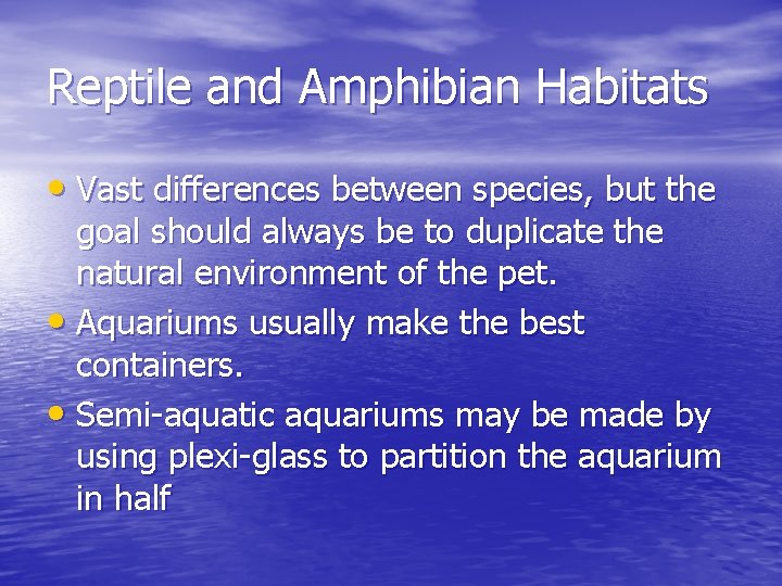 Reptile and Amphibian Habitats • Vast differences between species, but the goal should always