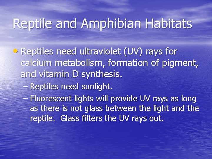 Reptile and Amphibian Habitats • Reptiles need ultraviolet (UV) rays for calcium metabolism, formation