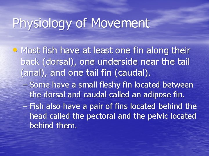 Physiology of Movement • Most fish have at least one fin along their back