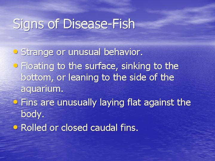 Signs of Disease-Fish • Strange or unusual behavior. • Floating to the surface, sinking