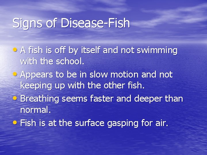 Signs of Disease-Fish • A fish is off by itself and not swimming with