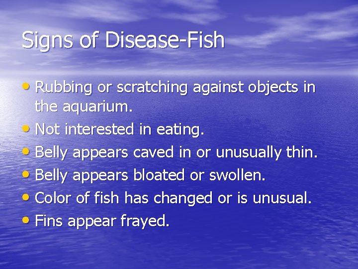 Signs of Disease-Fish • Rubbing or scratching against objects in the aquarium. • Not