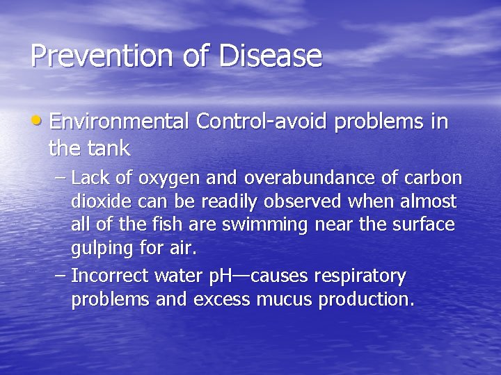 Prevention of Disease • Environmental Control-avoid problems in the tank – Lack of oxygen
