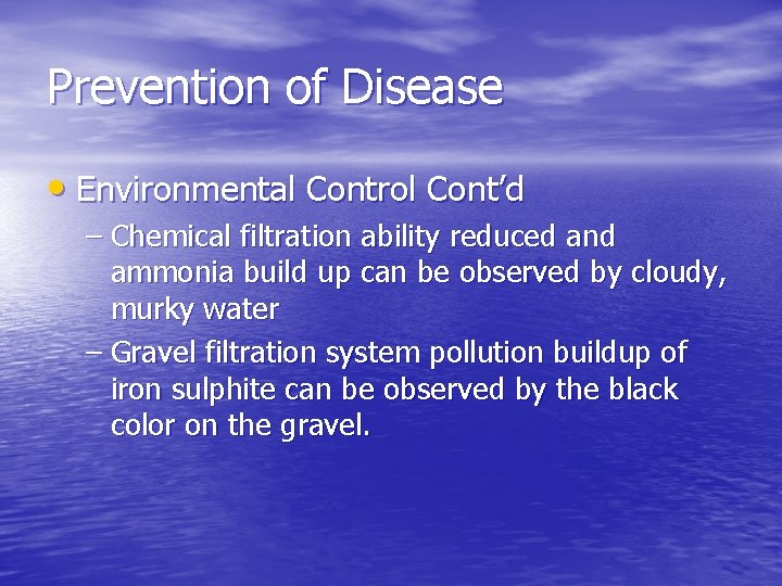 Prevention of Disease • Environmental Control Cont’d – Chemical filtration ability reduced and ammonia