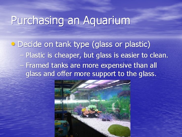 Purchasing an Aquarium • Decide on tank type (glass or plastic) – Plastic is