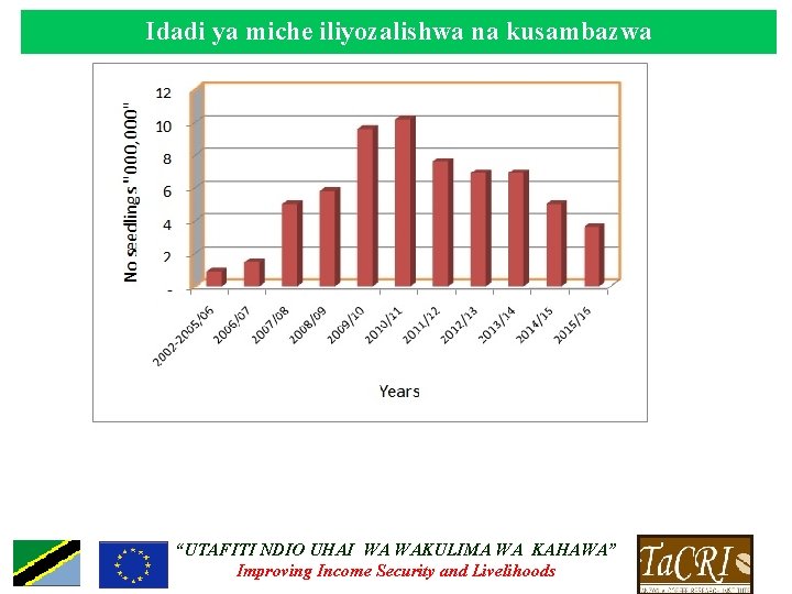 Idadi ya miche iliyozalishwa na kusambazwa “UTAFITI NDIO UHAI WA WAKULIMA WA KAHAWA” Improving