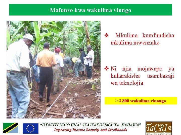 Mafunzo kwa wakulima viungo v Mkulima kumfundisha mkulima mwenzake v Ni njia mojawapo ya