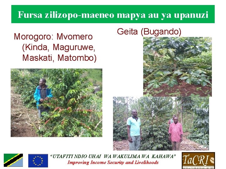 Fursa zilizopo-maeneo mapya au ya upanuzi Morogoro: Mvomero (Kinda, Maguruwe, Maskati, Matombo) Geita (Bugando)