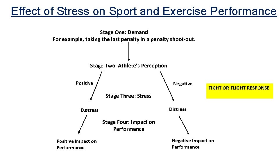 Effect of Stress on Sport and Exercise Performance Stage One: Demand For example, taking