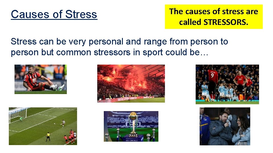 Causes of Stress The causes of stress are called STRESSORS. Stress can be very