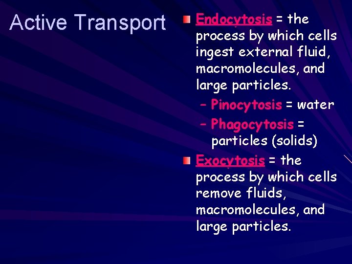 Active Transport Endocytosis = the process by which cells ingest external fluid, macromolecules, and