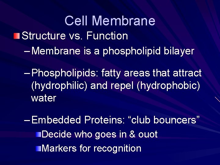 Cell Membrane Structure vs. Function – Membrane is a phospholipid bilayer – Phospholipids: fatty