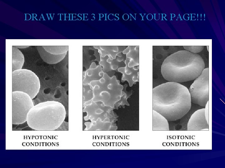 DRAW THESE 3 PICS ON YOUR PAGE!!! 