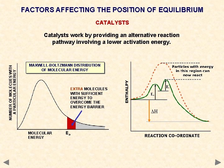 FACTORS AFFECTING THE POSITION OF EQUILIBRIUM CATALYSTS NUMBER OF MOLECUES WITH A PARTICULAR ENERGY