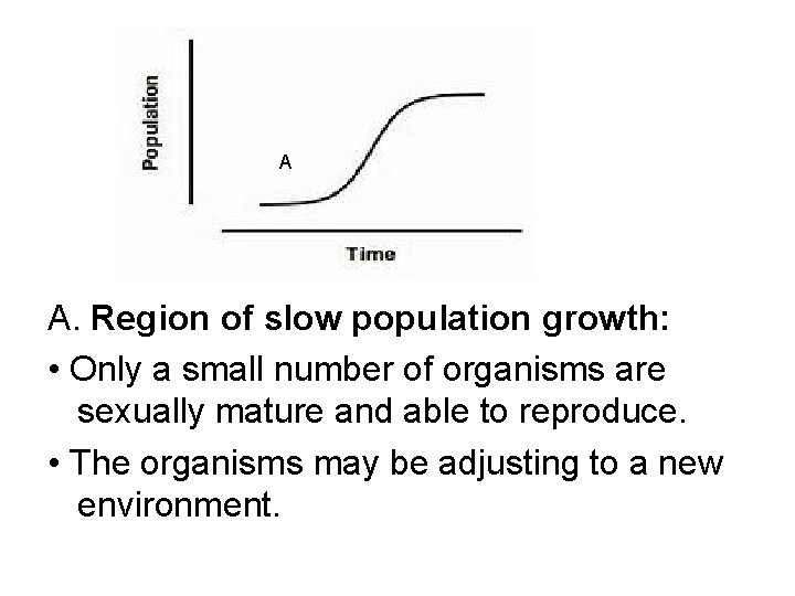 A A. Region of slow population growth: • Only a small number of organisms