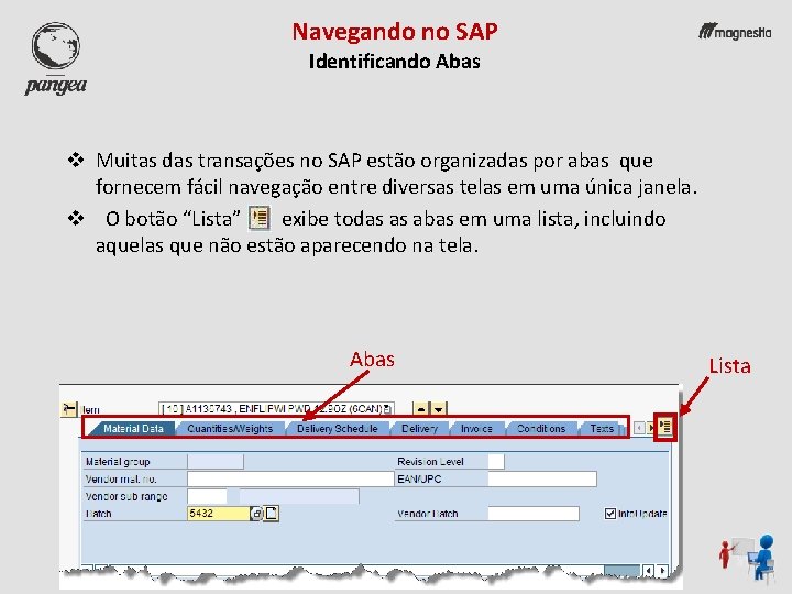 Navegando no SAP Identificando Abas v Muitas das transações no SAP estão organizadas por