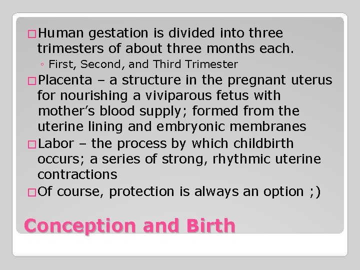 �Human gestation is divided into three trimesters of about three months each. ◦ First,