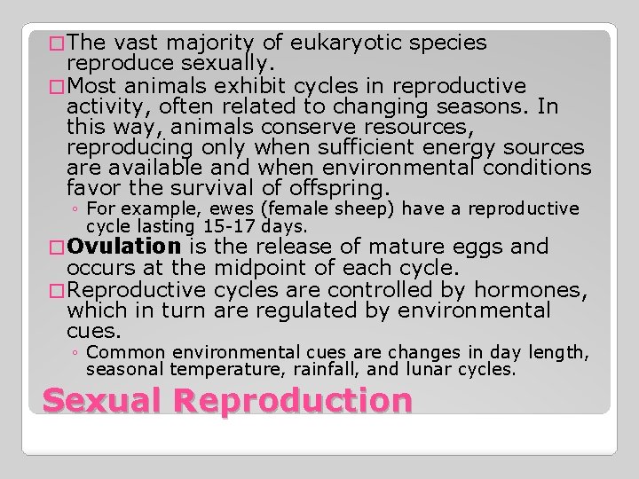 � The vast majority of eukaryotic species reproduce sexually. � Most animals exhibit cycles