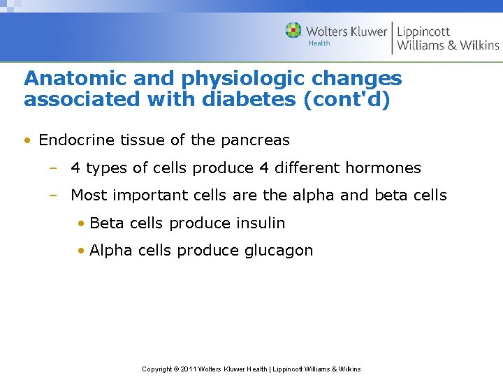 Anatomic and physiologic changes associated with diabetes (cont'd) • Endocrine tissue of the pancreas