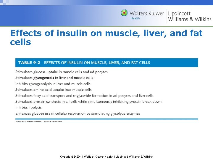 Effects of insulin on muscle, liver, and fat cells Copyright © 2011 Wolters Kluwer