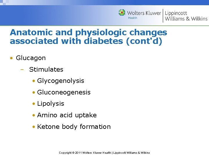 Anatomic and physiologic changes associated with diabetes (cont'd) • Glucagon – Stimulates • Glycogenolysis