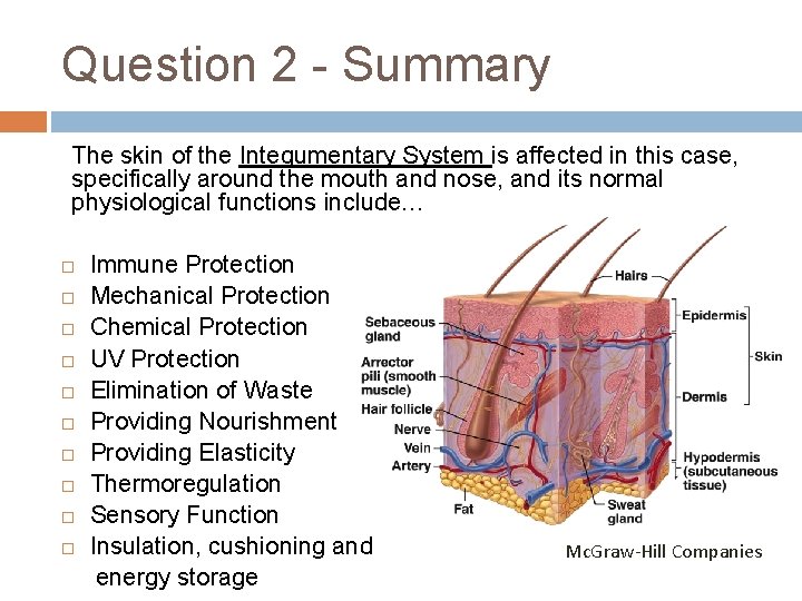 Question 2 - Summary The skin of the Integumentary System is affected in this
