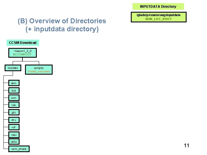 INPUTDATA Directory (B) Overview of Directories (+ inputdata directory) /glade/p/cesm/cseg/inputdata $DIN_LOC_ROOT CCSM Download ~/cesm
