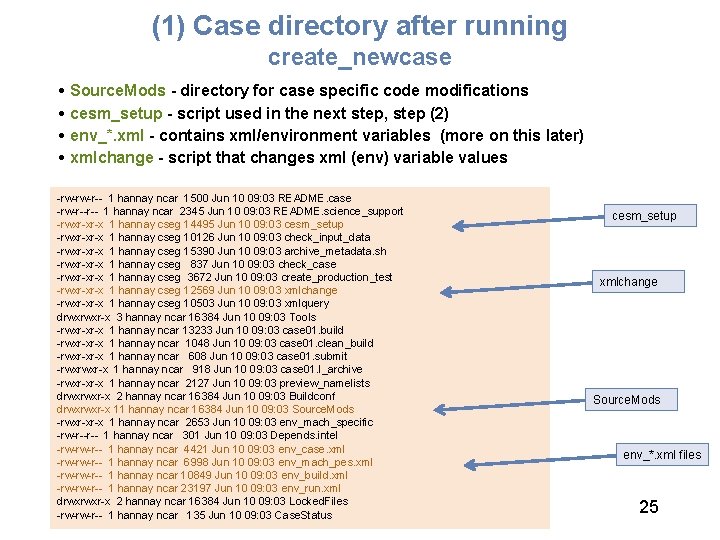 (1) Case directory after running create_newcase • Source. Mods - directory for case specific