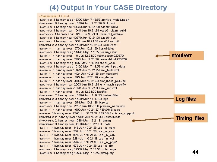 (4) Output in Your CASE Directory ~/cases/case 01 > ls –l -rwxr-xr-x 1 hannay